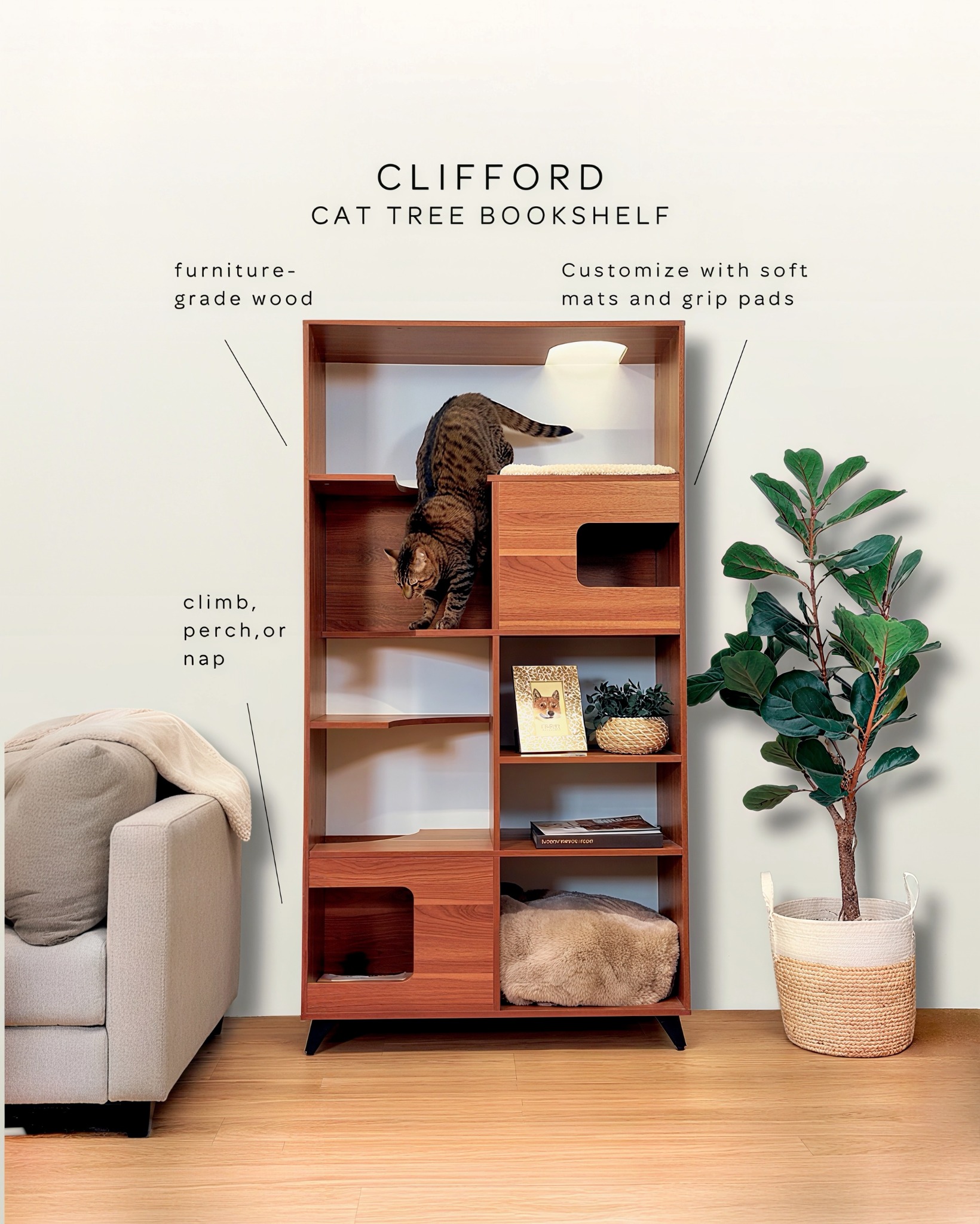 4 Cats & Dogs Home Furnishings Facebook ad