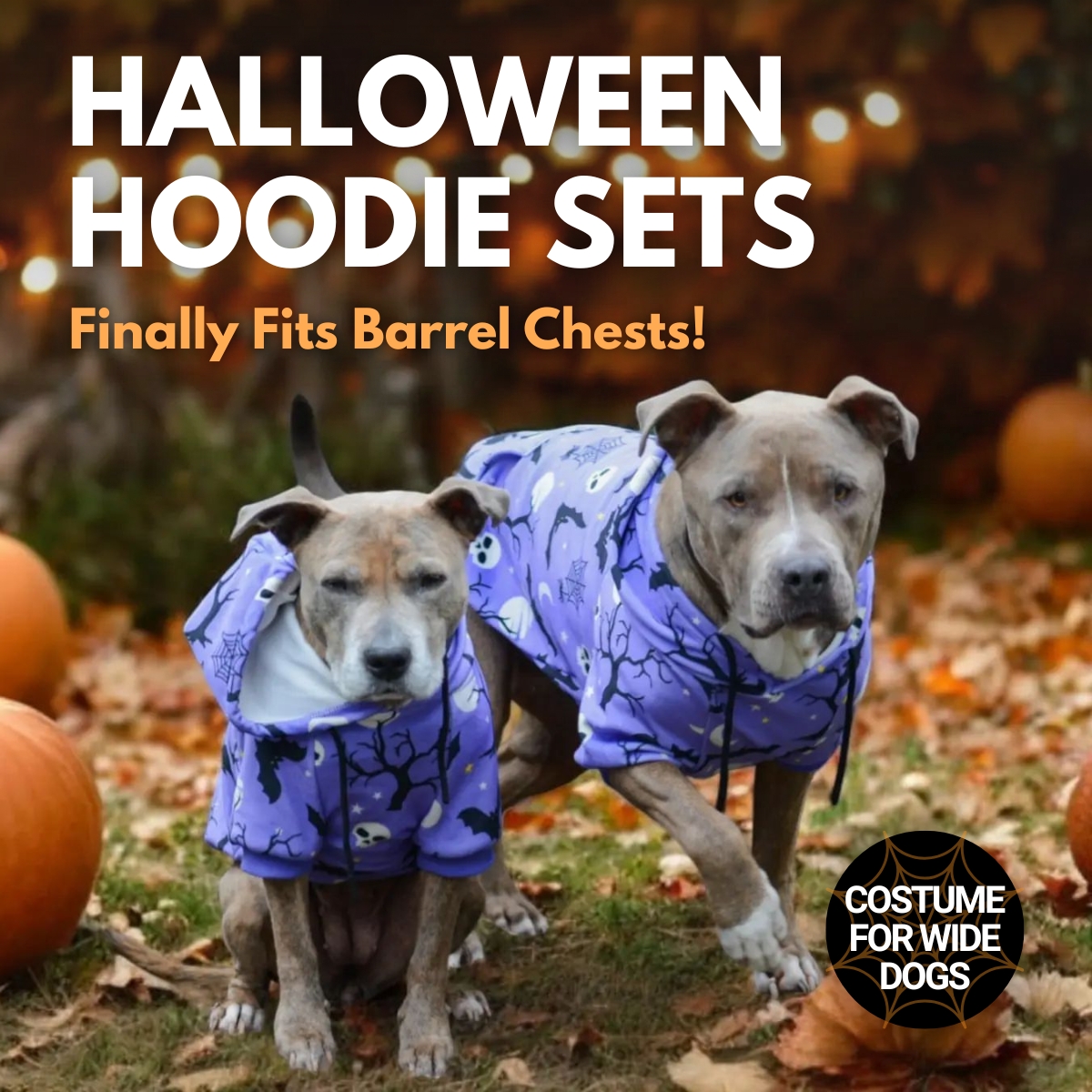 Spark Paws Facebook ad