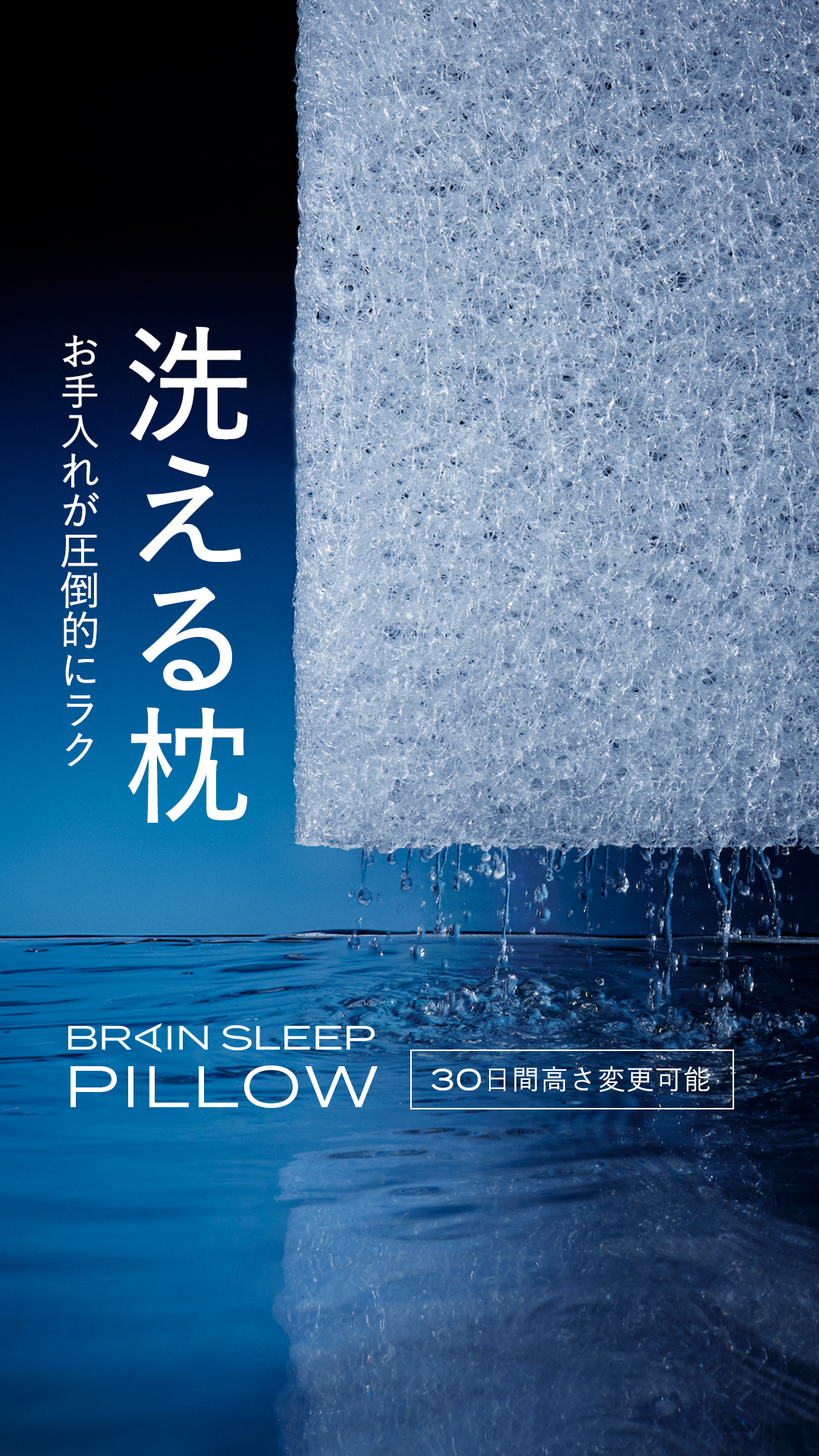 株式会社ブレインスリープ Facebook ad