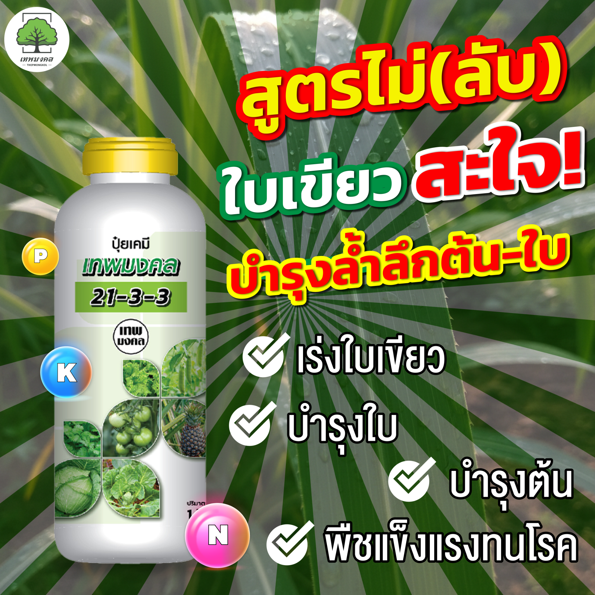 จำหน่ายปุ๋ยน้ำ สูตรพรีเมี่ยม ตราเทพมงคล Facebook ad