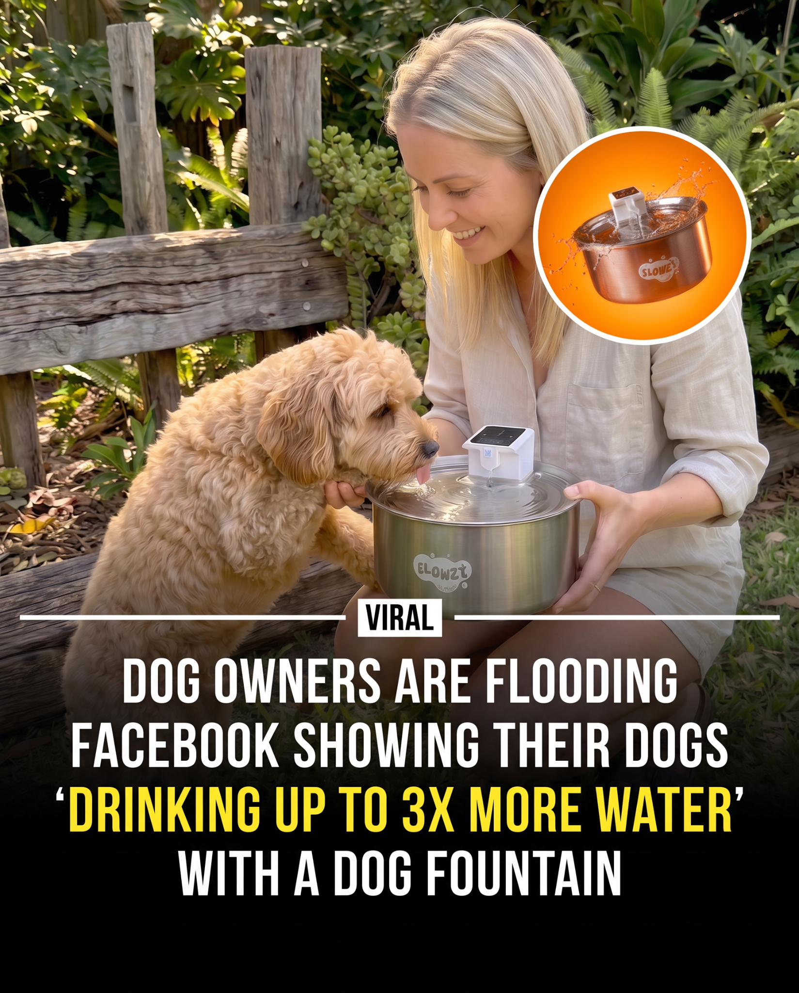 Flowzy Facebook ad