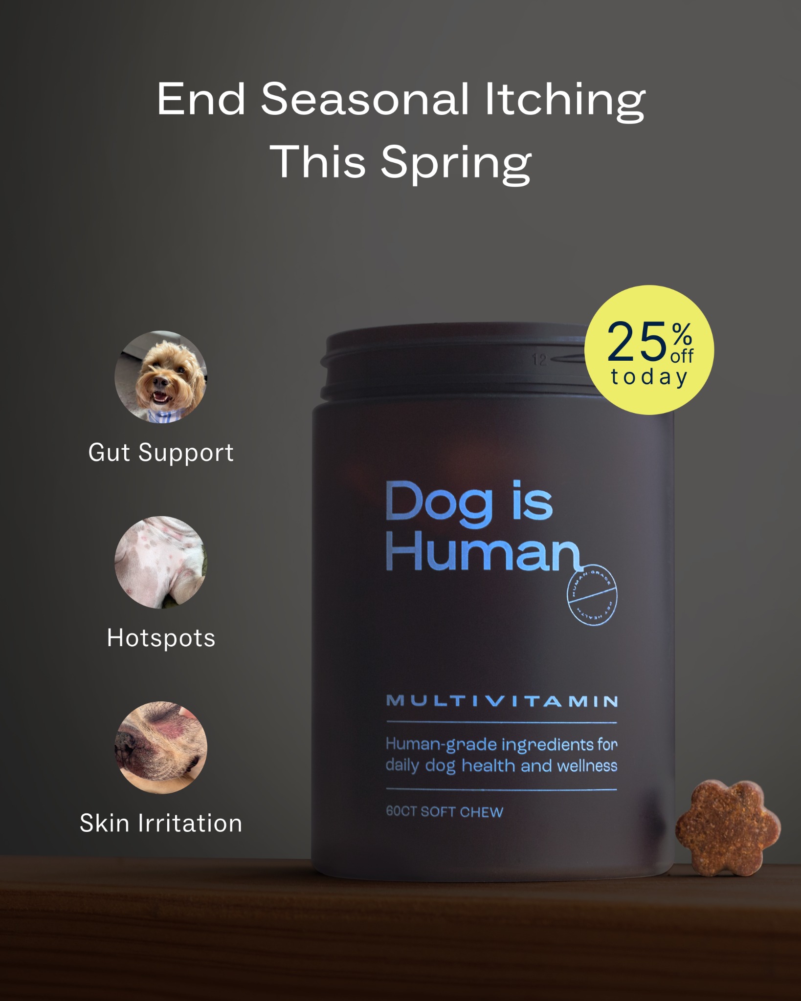 Dog is Human Facebook ad
