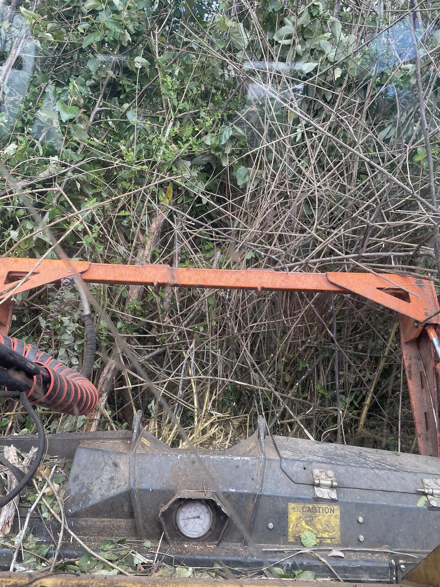 Mackay Forestry Grade Mulching and Earthworks Facebook ad: FORESTRY GRADE MULCHING EXCAVATORS AND TRACKED SKID STEERS…