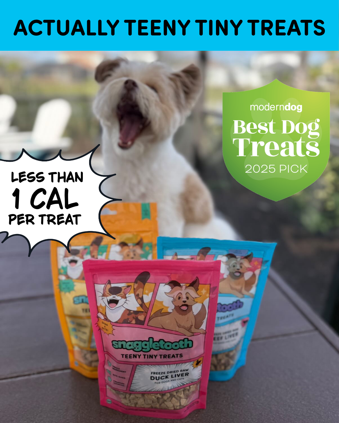 Snaggletooth Pets Facebook ad: Actually Teeny Tiny Treats