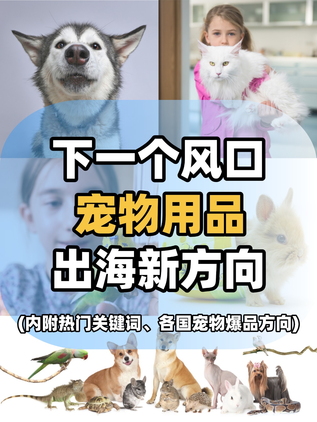 网易外贸通 Facebook ad