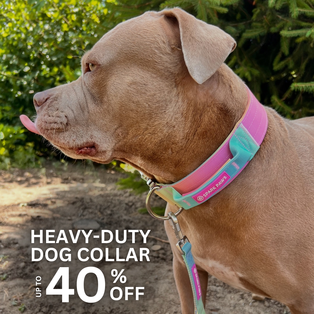 Spark Paws Facebook ad
