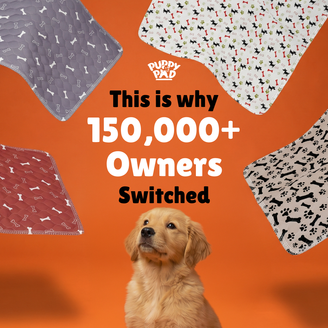 PuppyPad Facebook ad
