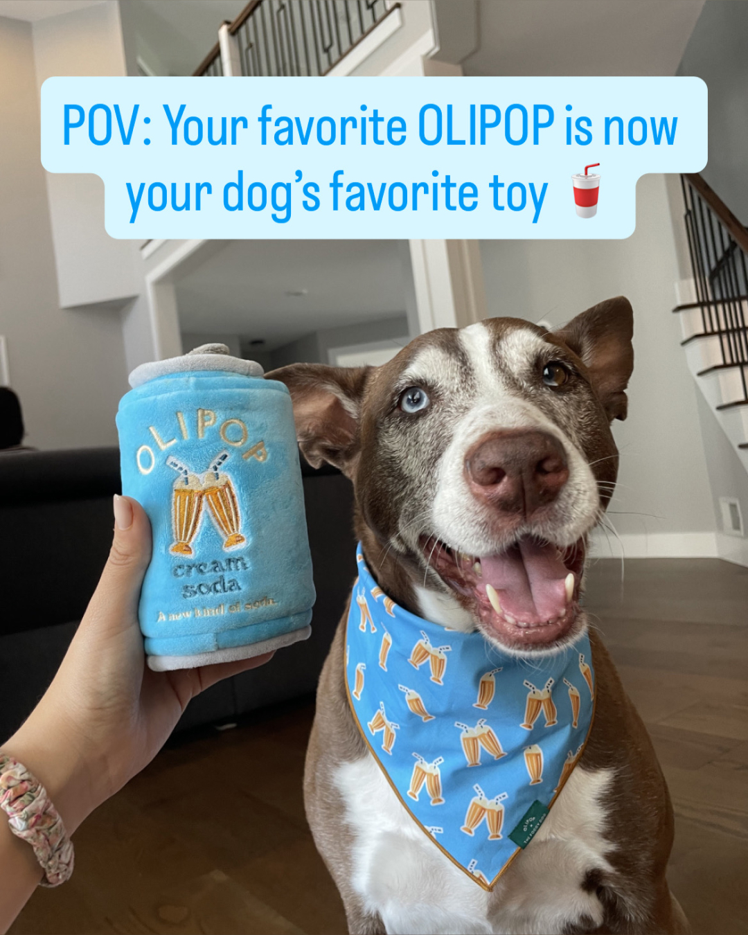 The Foggy Dog Facebook ad