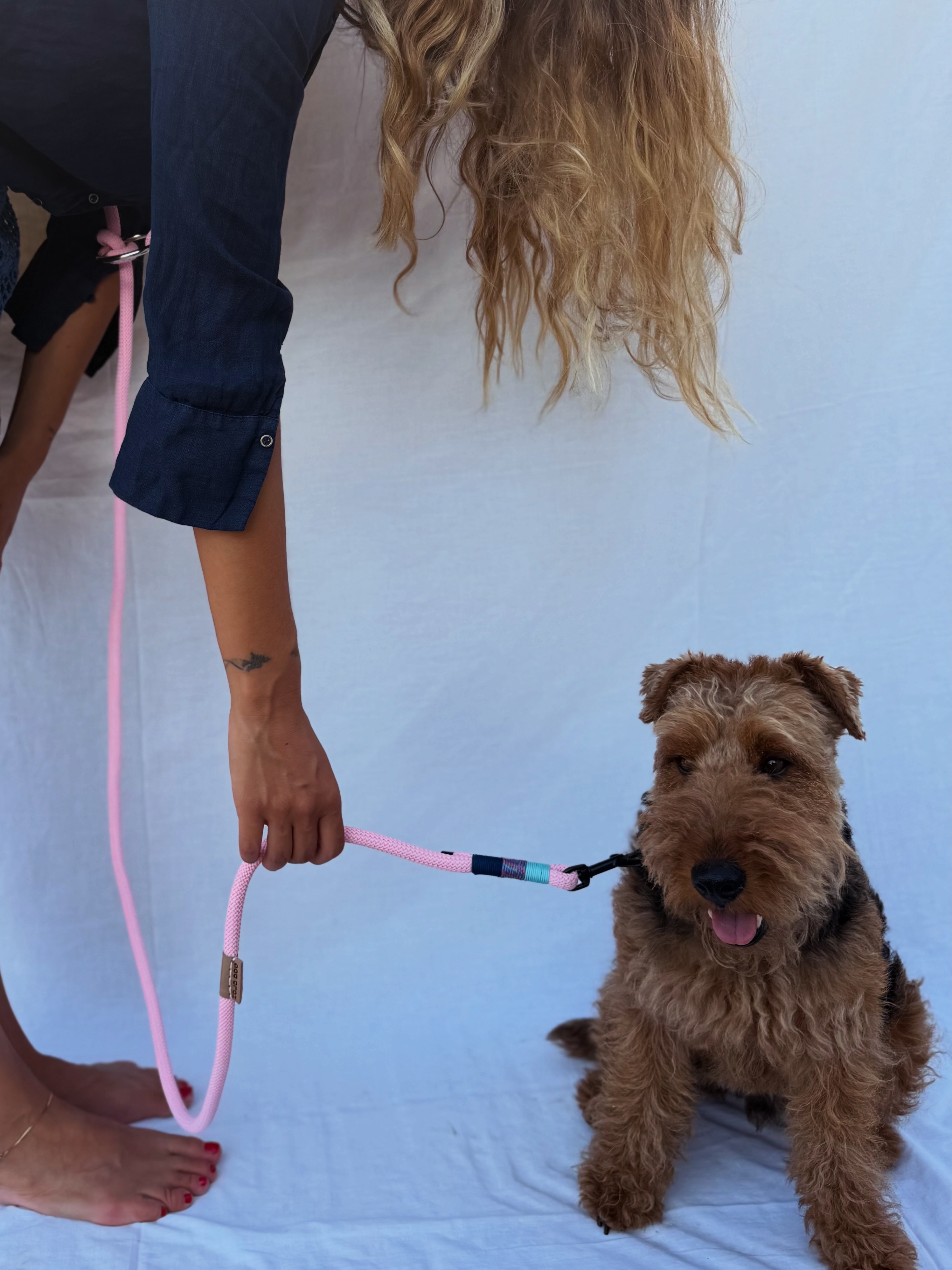 Hold Dog leashes Facebook ad: Το Hands Free λουράκι που όλοι αγαπάμε!