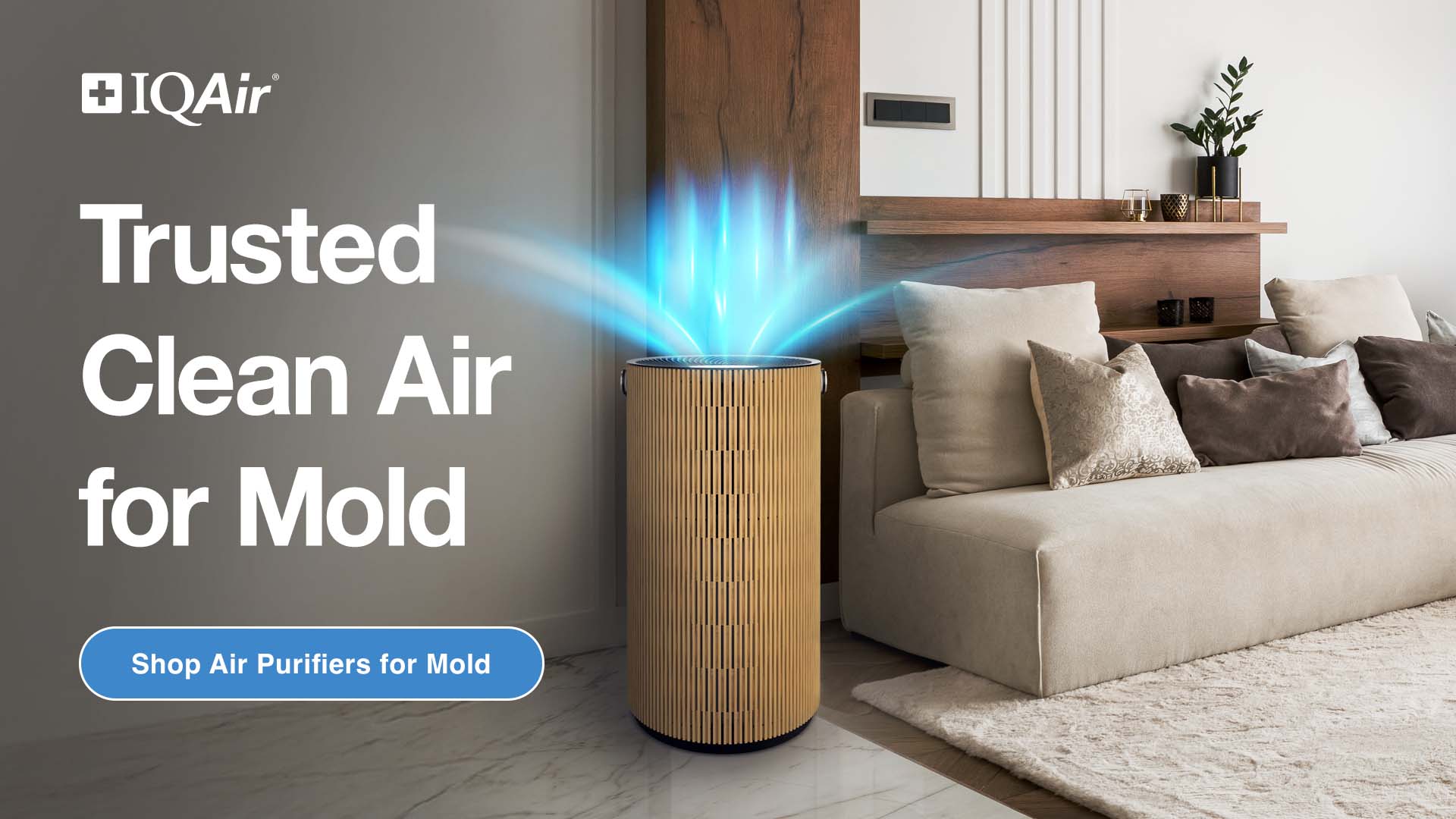 IQAir Facebook ad