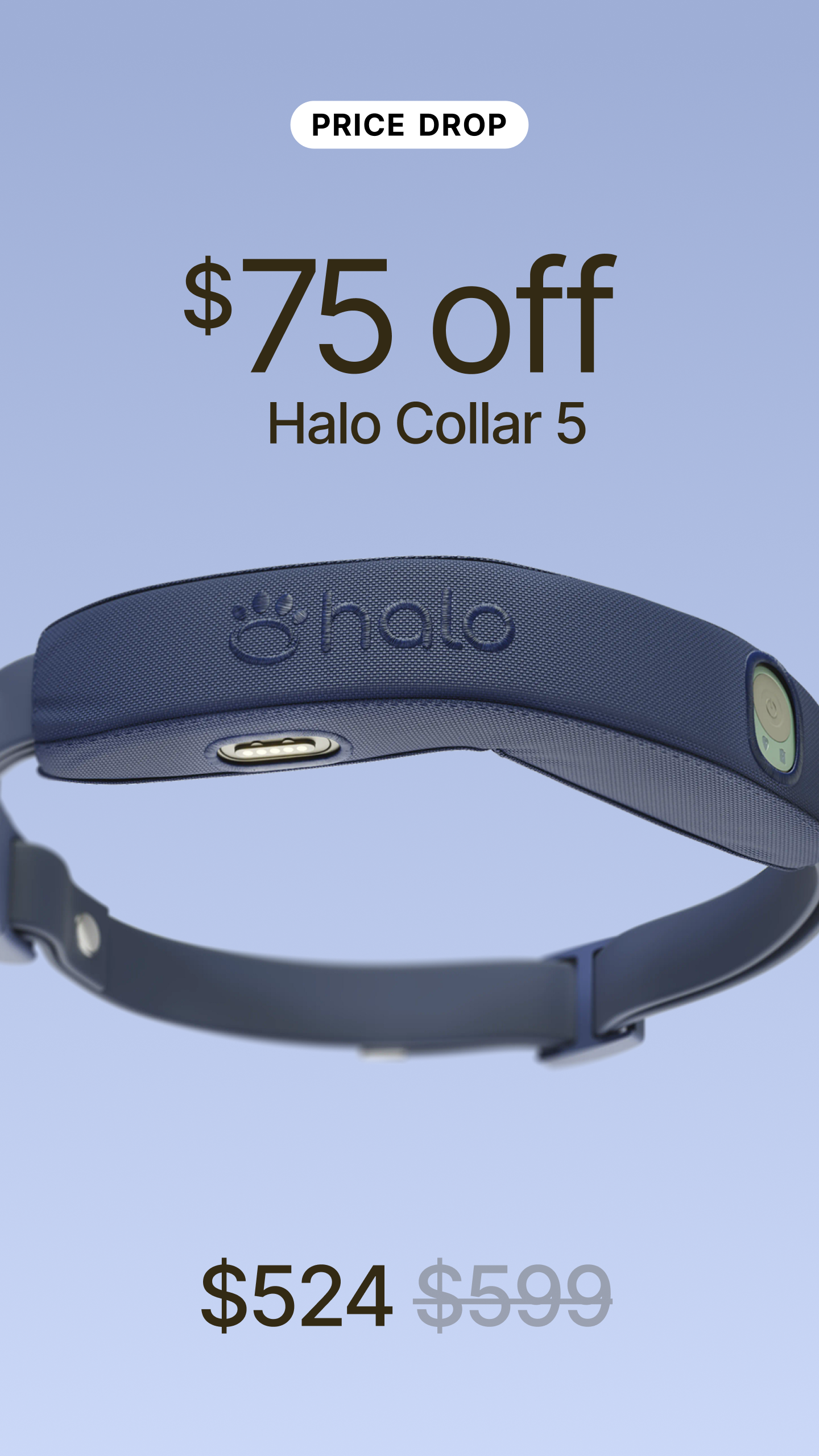 Halo Collar Facebook ad