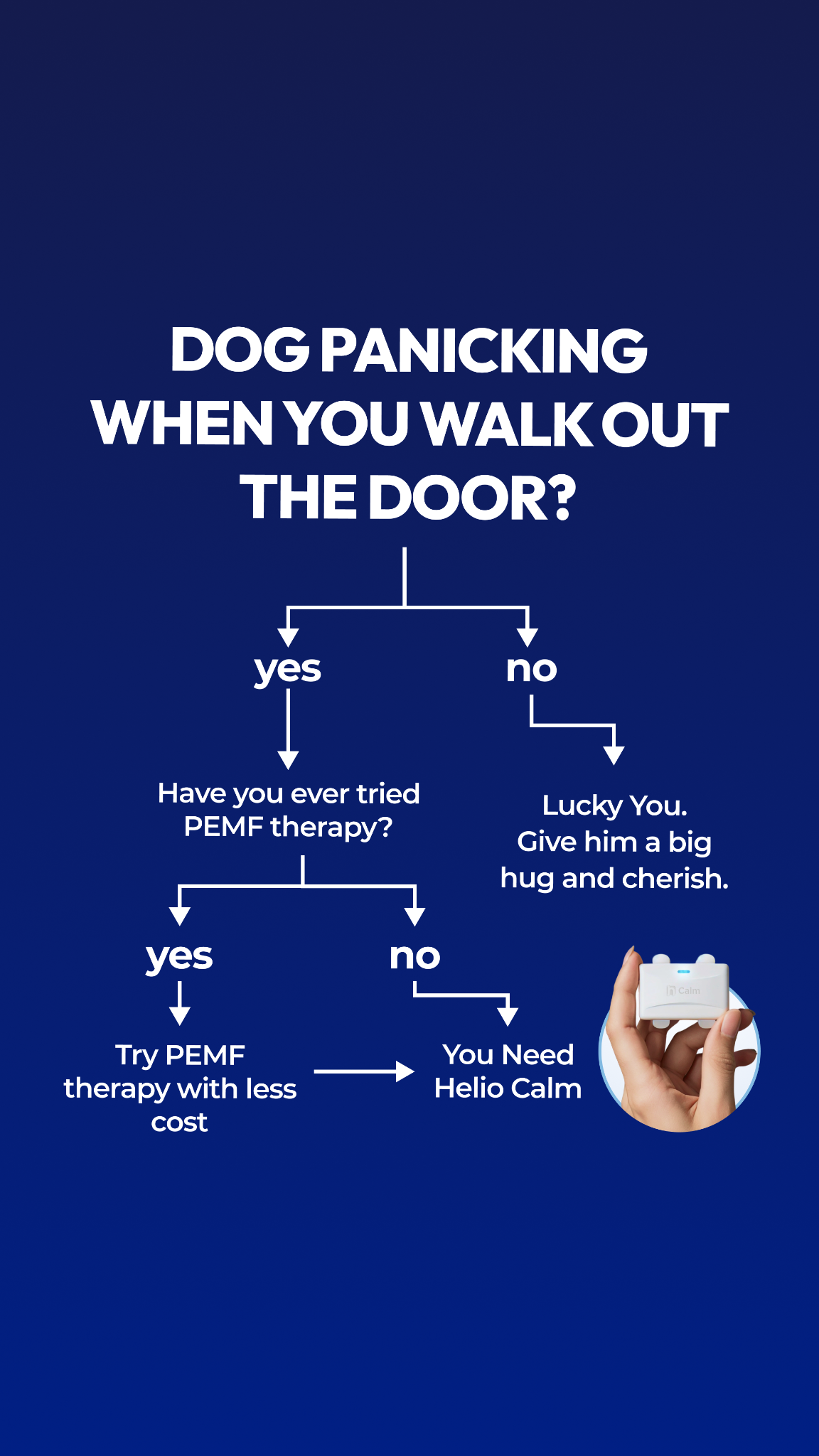 Helio Pet Facebook ad