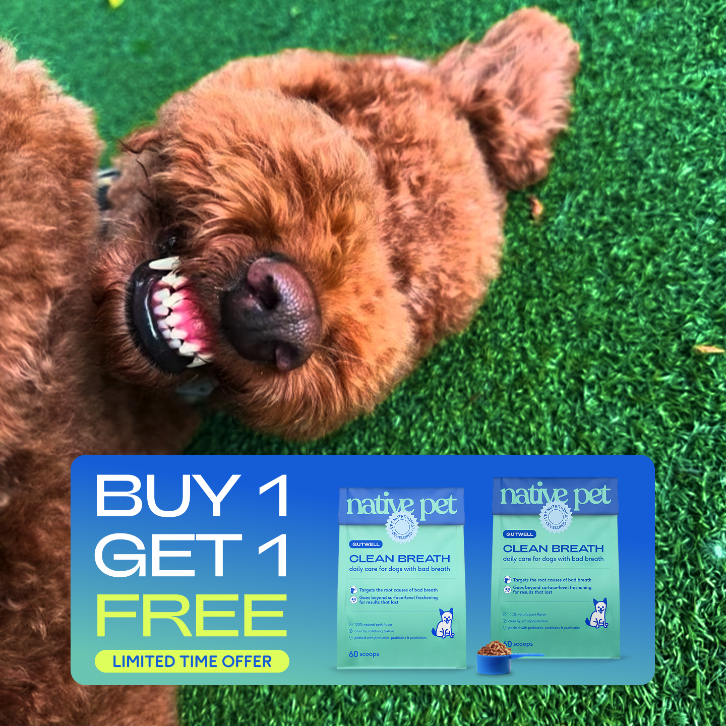 Native Pet Facebook ad