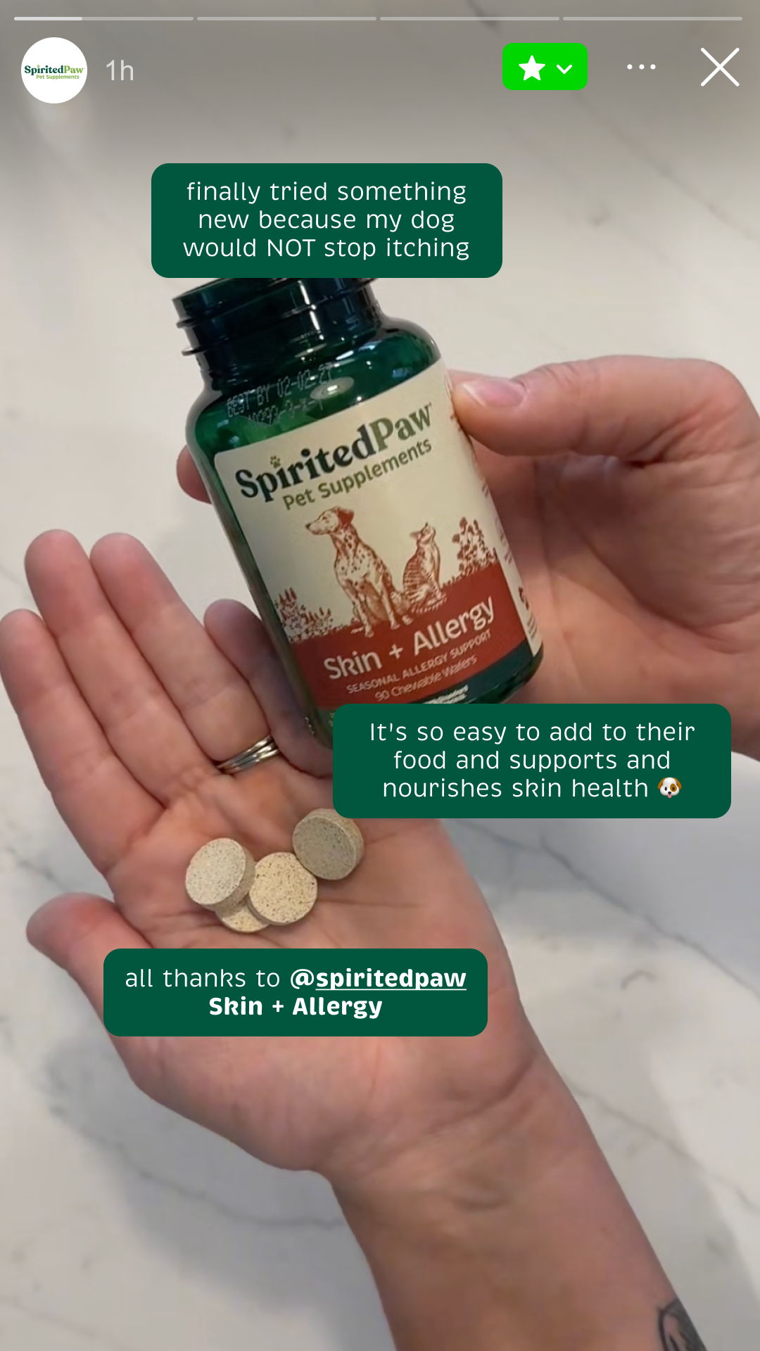 Spirited Paw Facebook ad from Mar 14, 2026