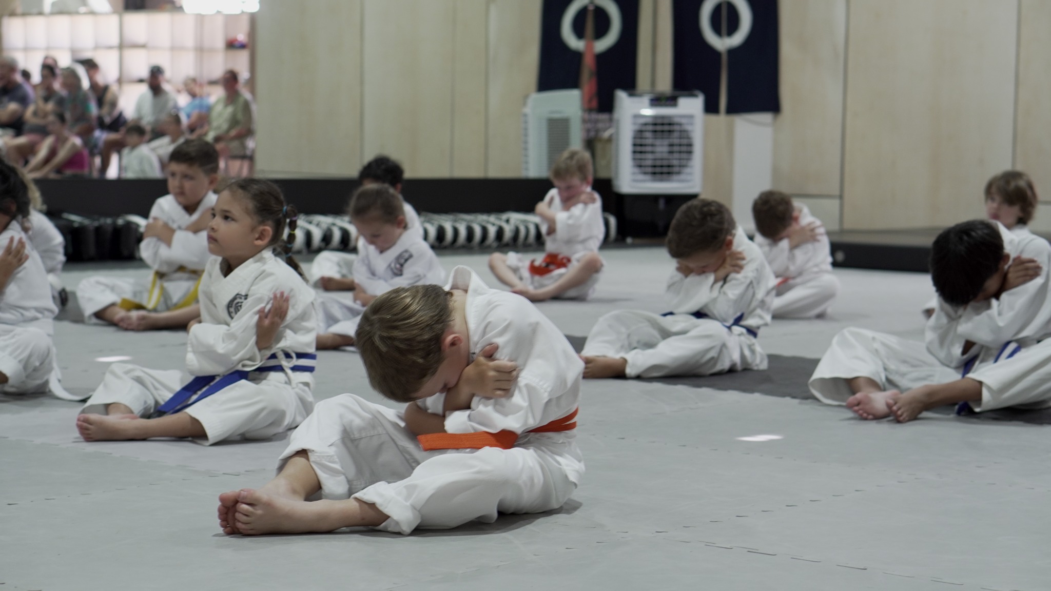 Karate Academy of Power - Hayashiha Queensland Facebook ad