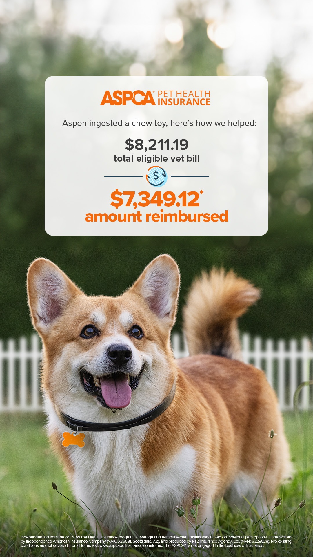 ASPCA Pet Health Insurance Facebook ad