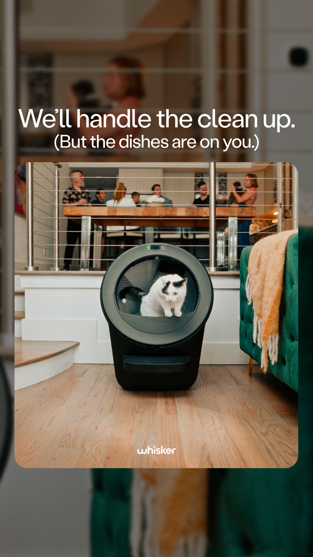 Whisker Facebook ad