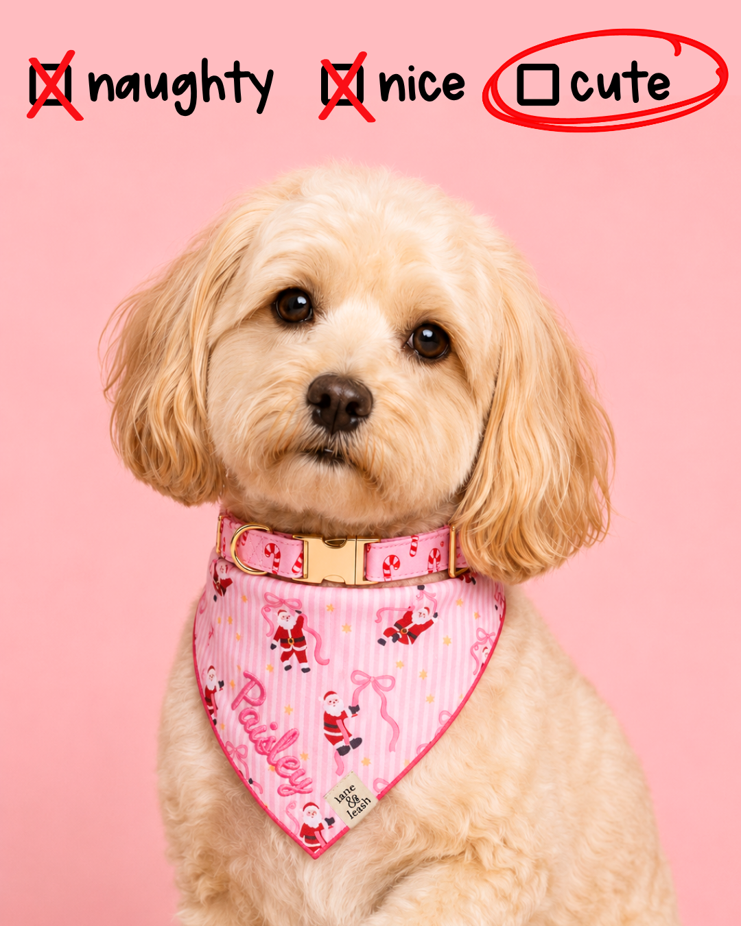 Lane&Leash Facebook ad