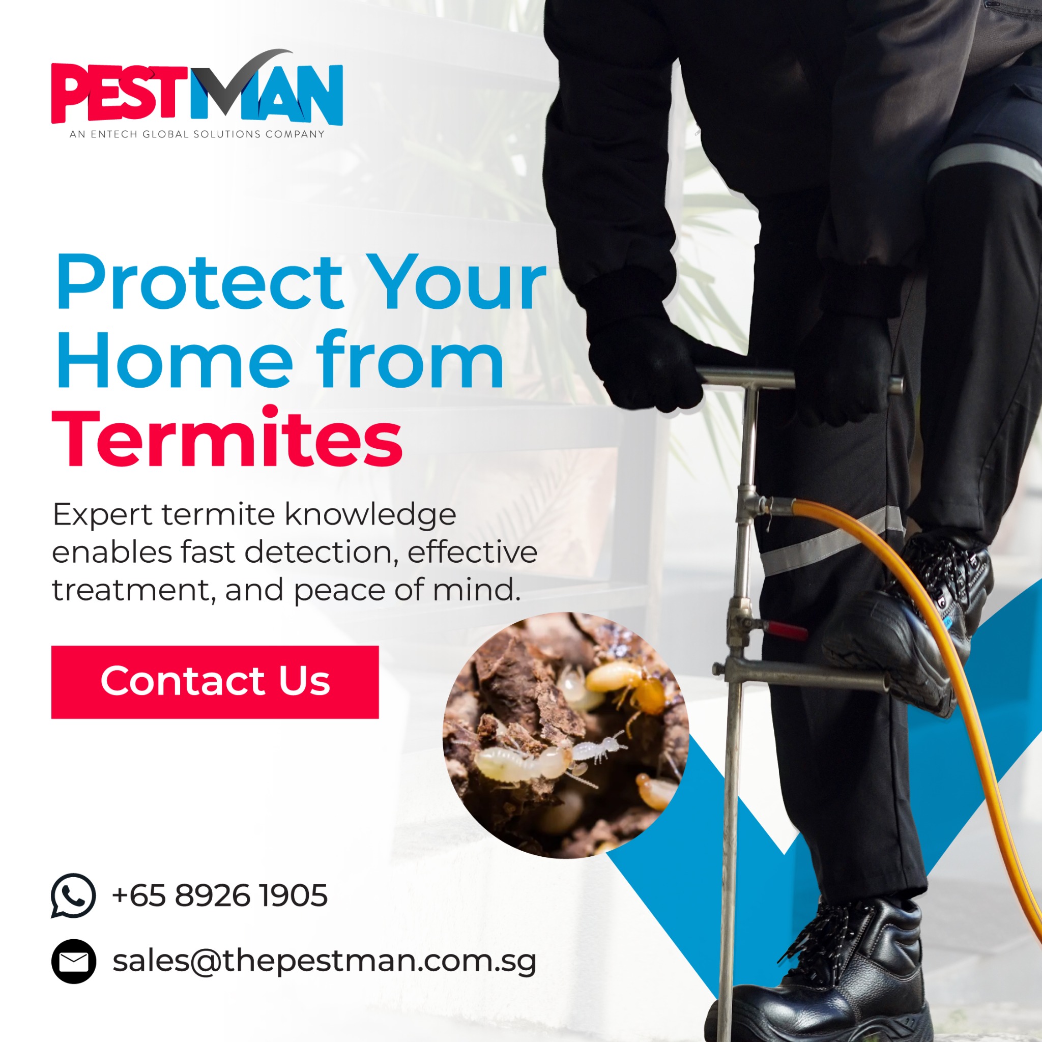 PestMan Singapore Facebook ad: Results-Driven Termite Control