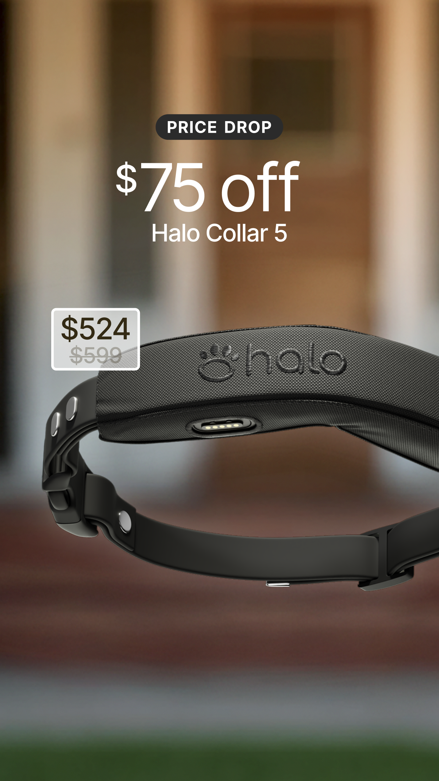Halo Collar Facebook ad