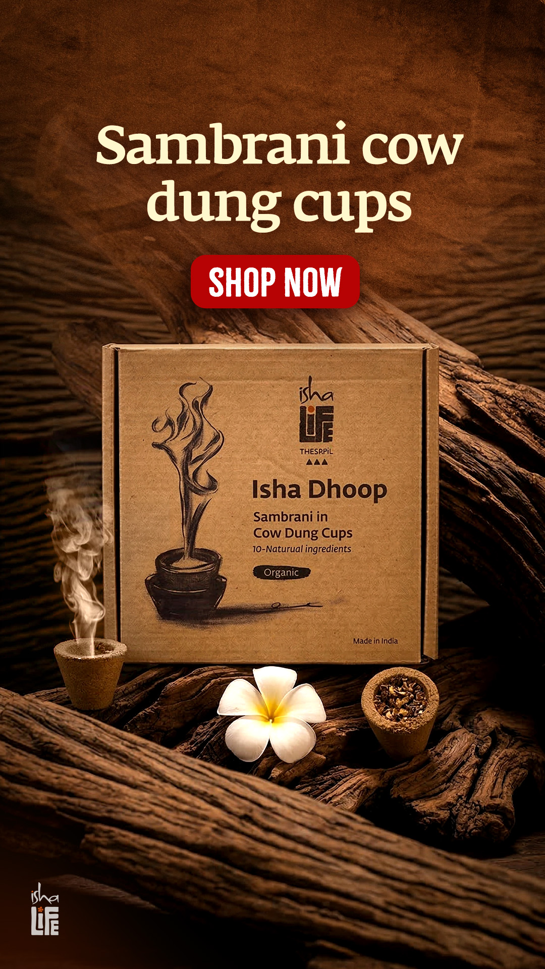 Isha Life Facebook ad