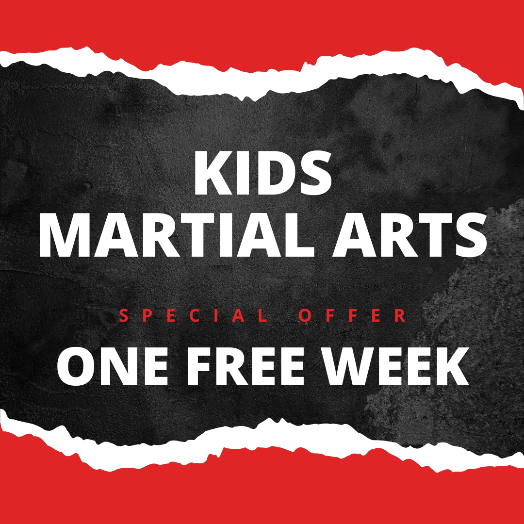 American Instinct Martial Arts and Fitness Facebook ad