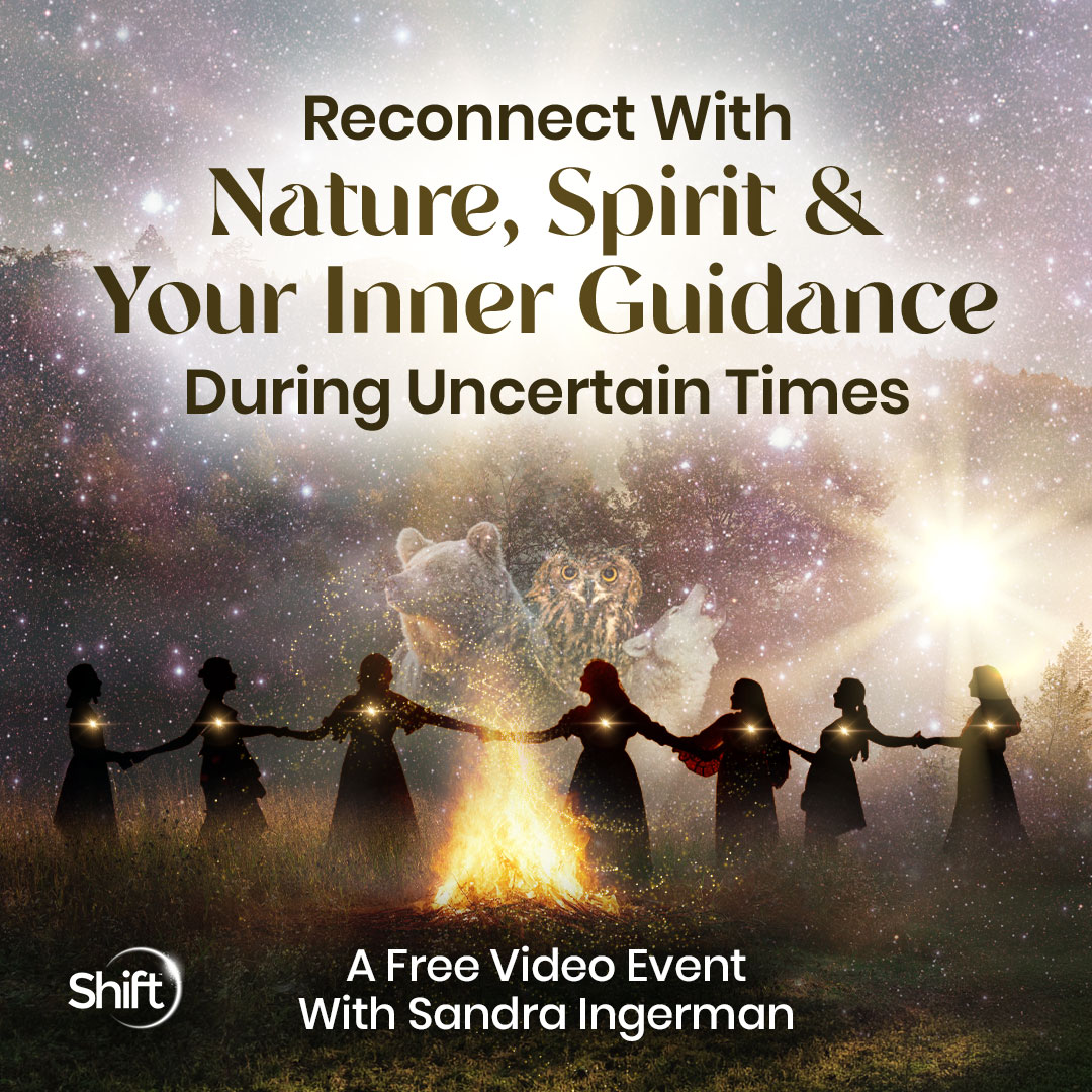 The Shift Network Facebook ad