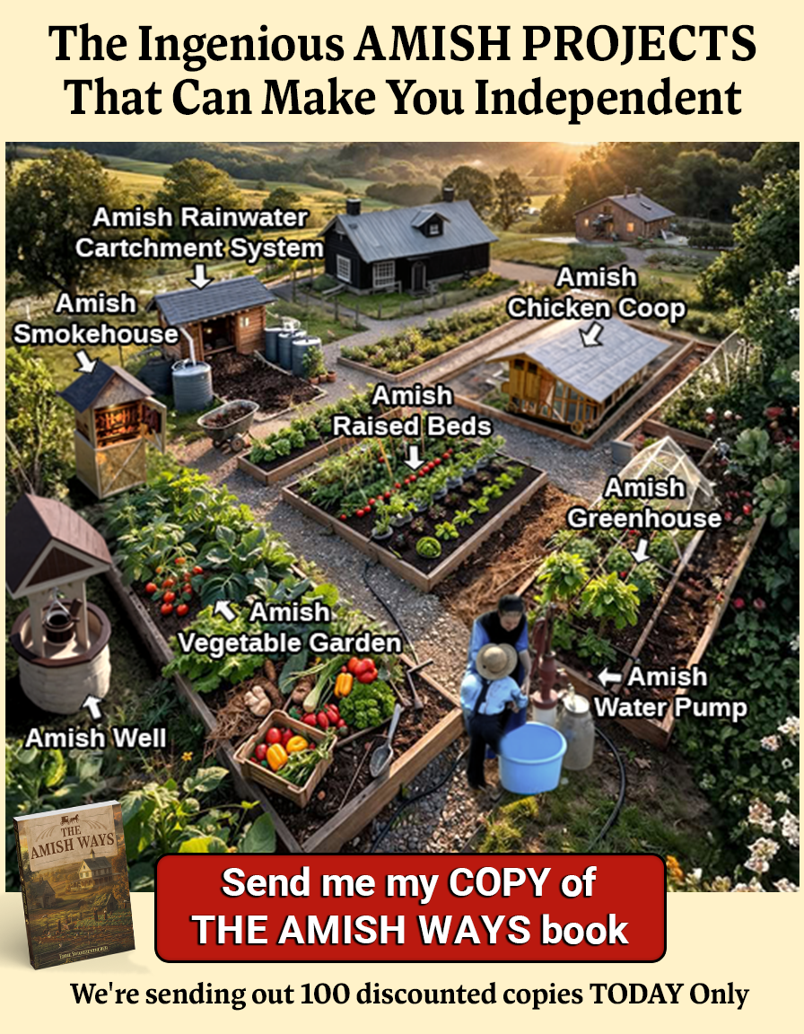 The Amish Ways Facebook ad