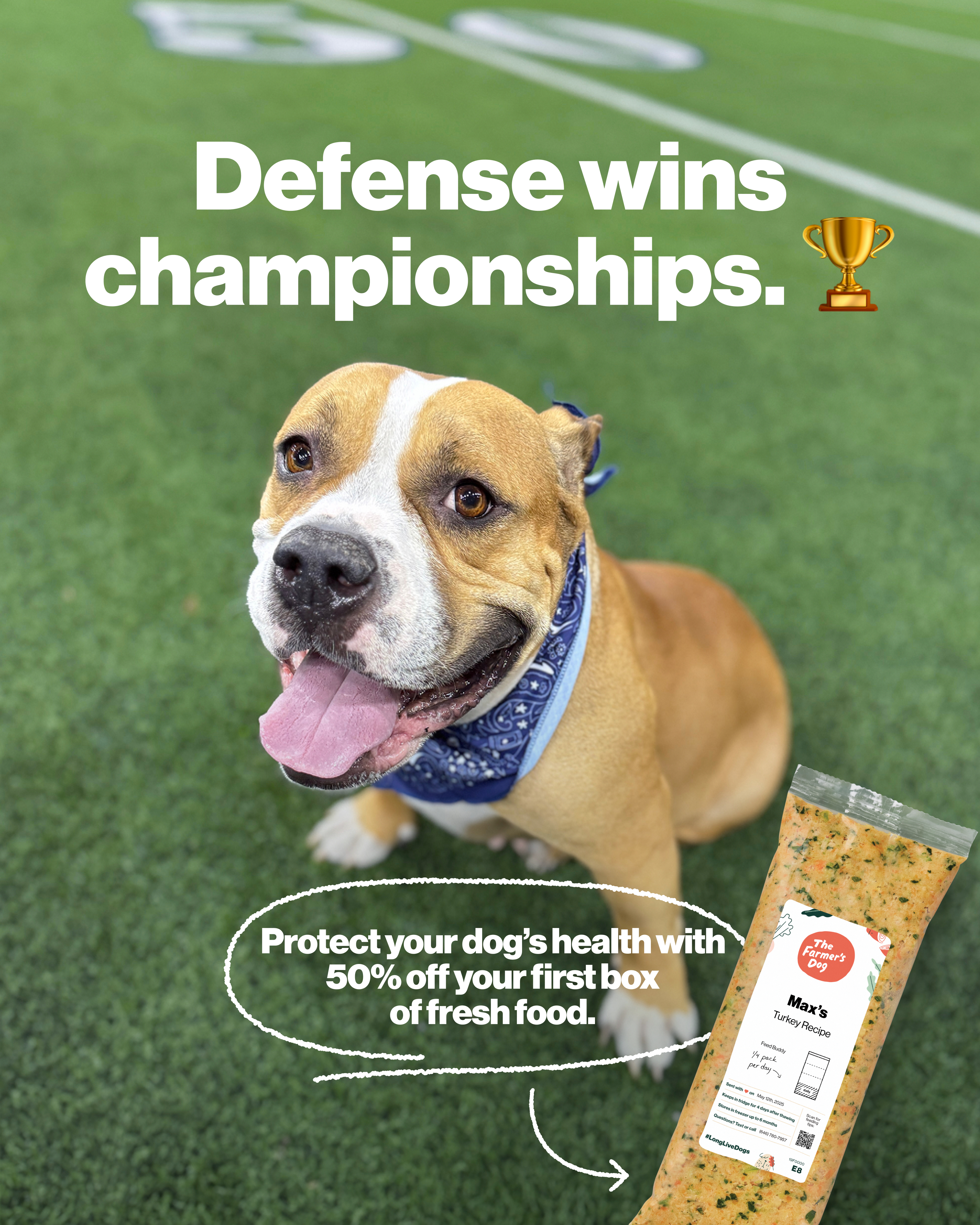 The Farmer's Dog Facebook ad