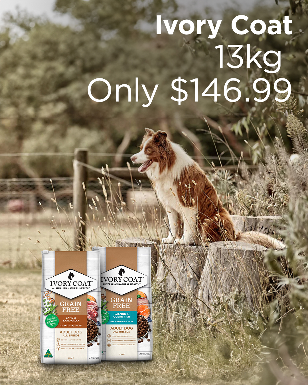 Budget Pet Products Facebook ad