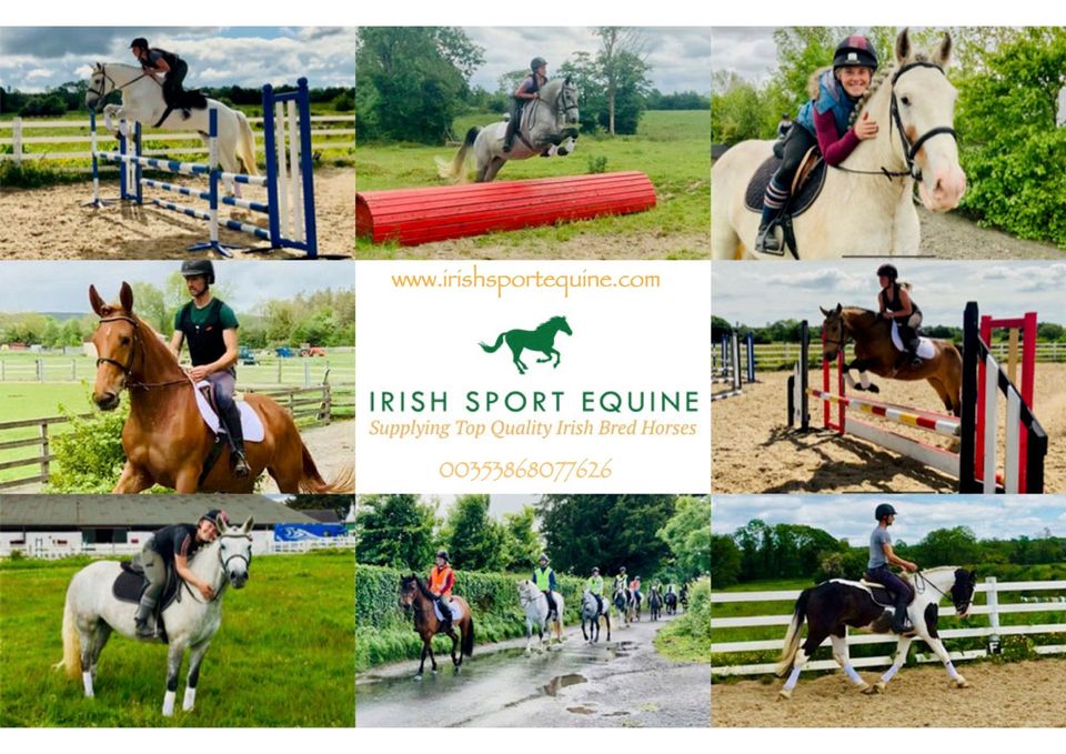 Irish Sport Equine Facebook ad