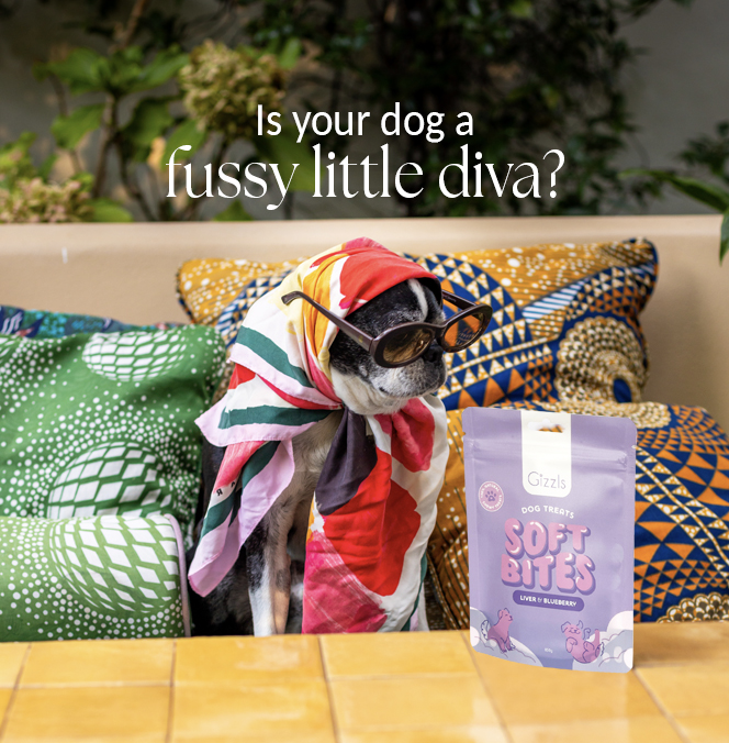 Gizzls For Pets Facebook ad