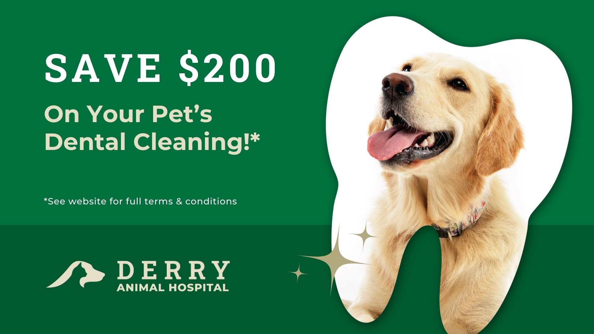 Derry Animal Hospital Facebook ad from Feb 2, 2026