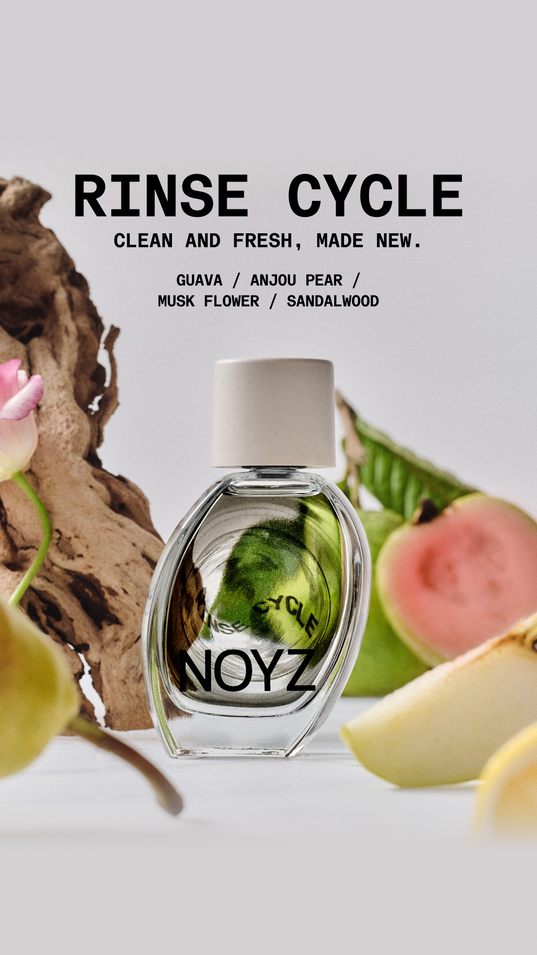 NOYZ Facebook ad
