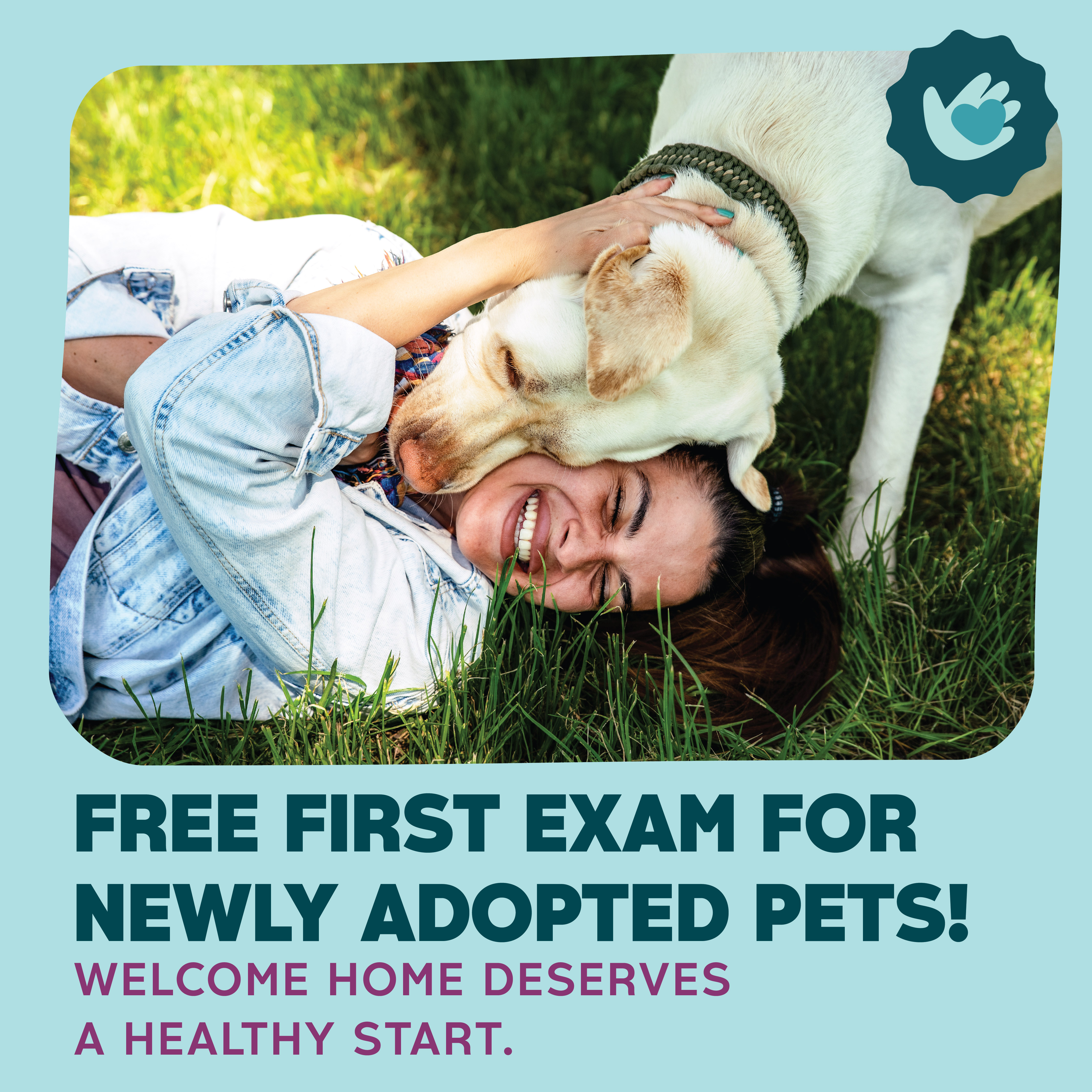 Butterfield Animal Hospital Facebook ad: The best adoption journeys are built on care…