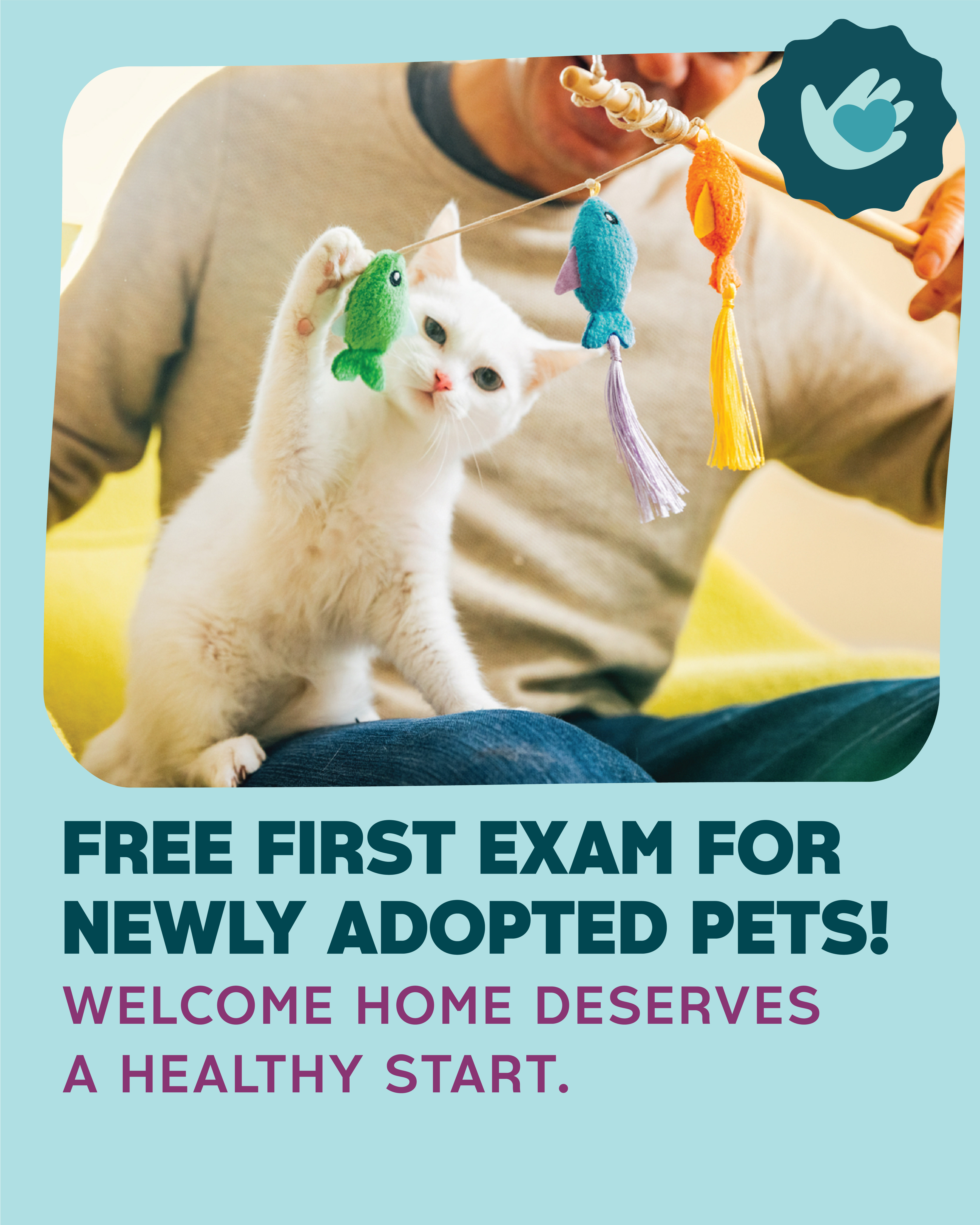 Butterfield Animal Hospital Facebook ad: Free First Exam for Newly Adopted Pets