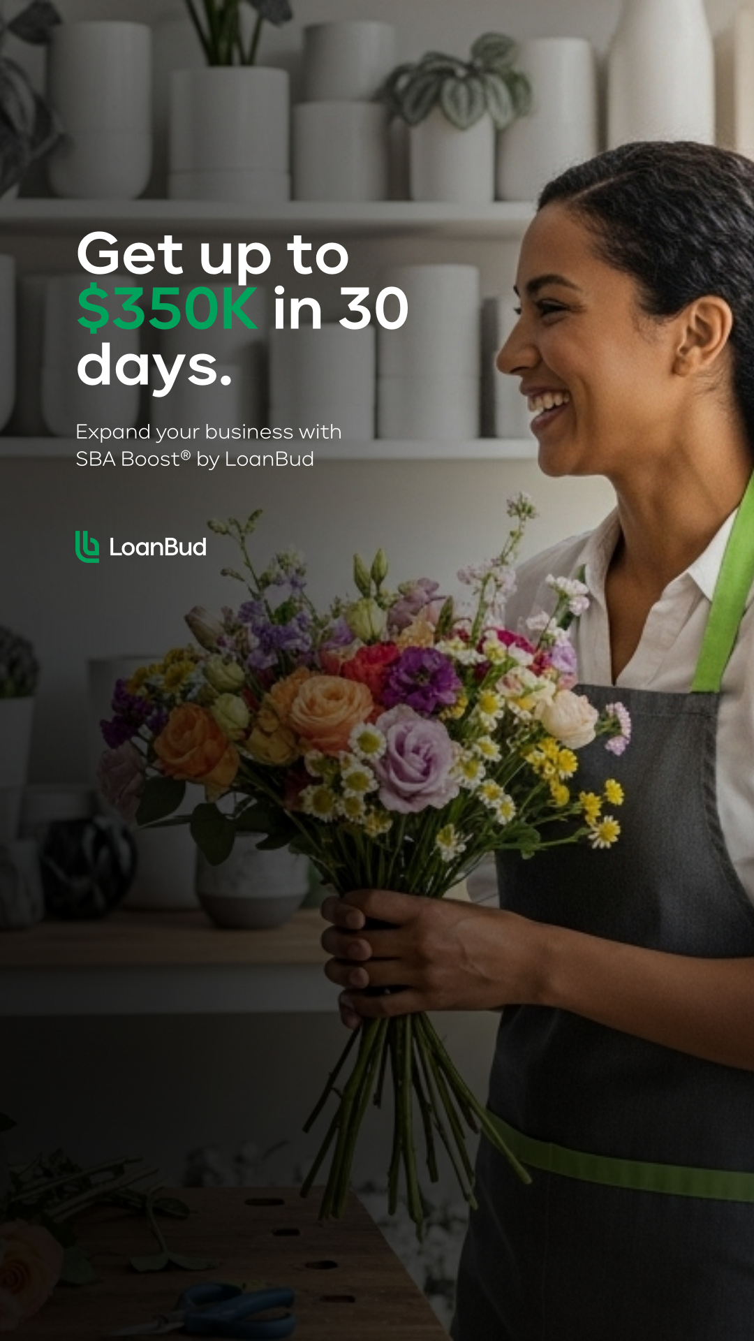 LoanBud Facebook ad