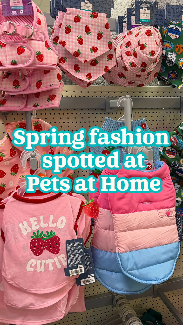 Pets UK Facebook ad