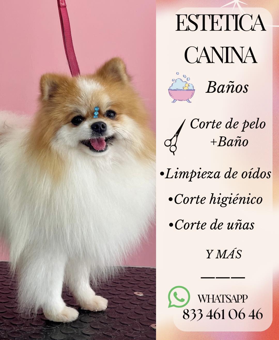 Caninosmx estética canina ll Facebook ad: BAÑOS PARA MASCOTAS Desde $90