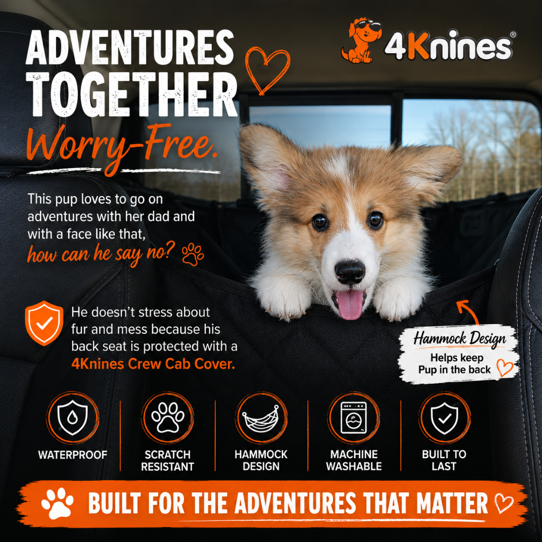 4Knines Facebook ad