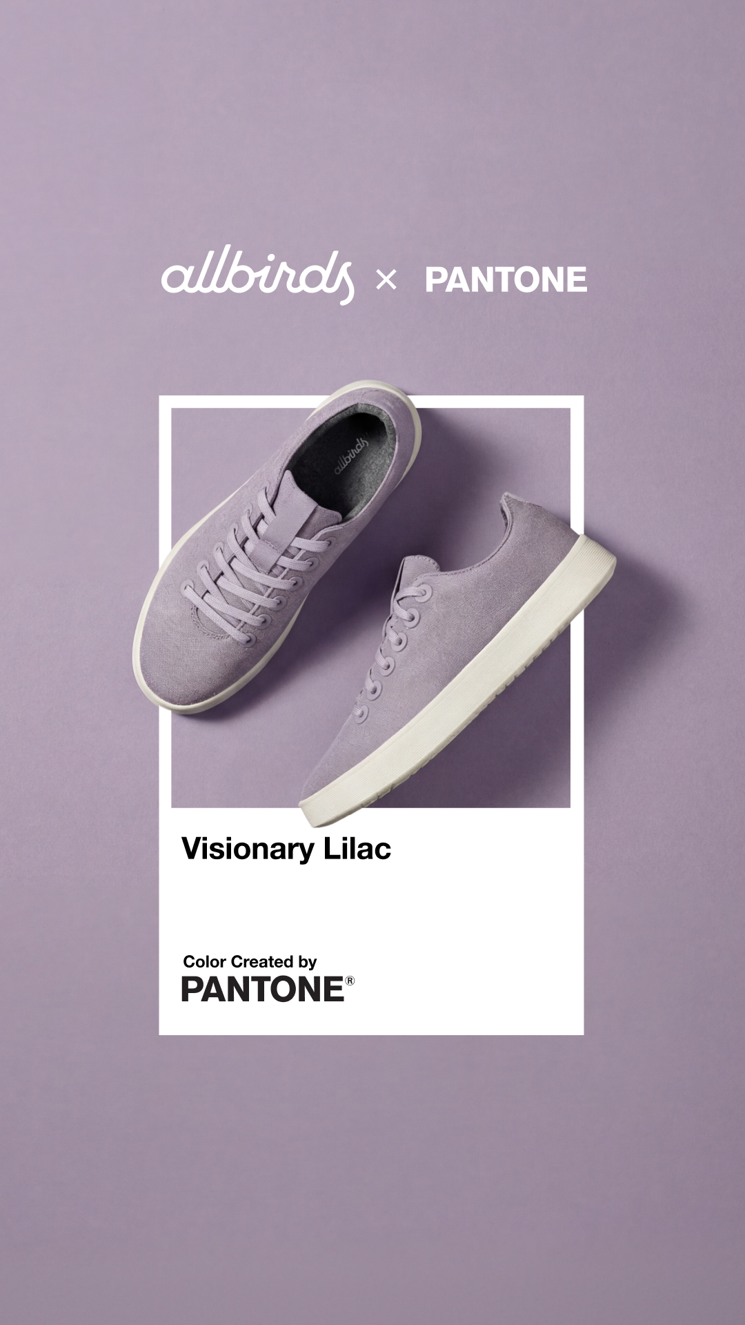 Allbirds Facebook ad