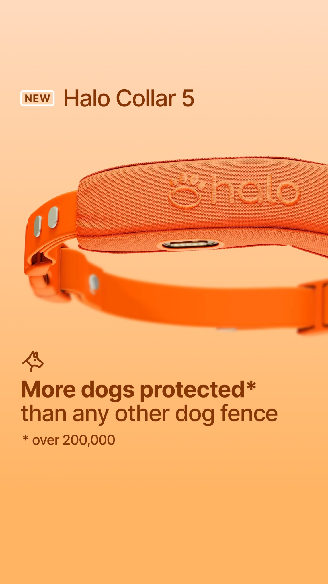 Halo Collar Facebook ad