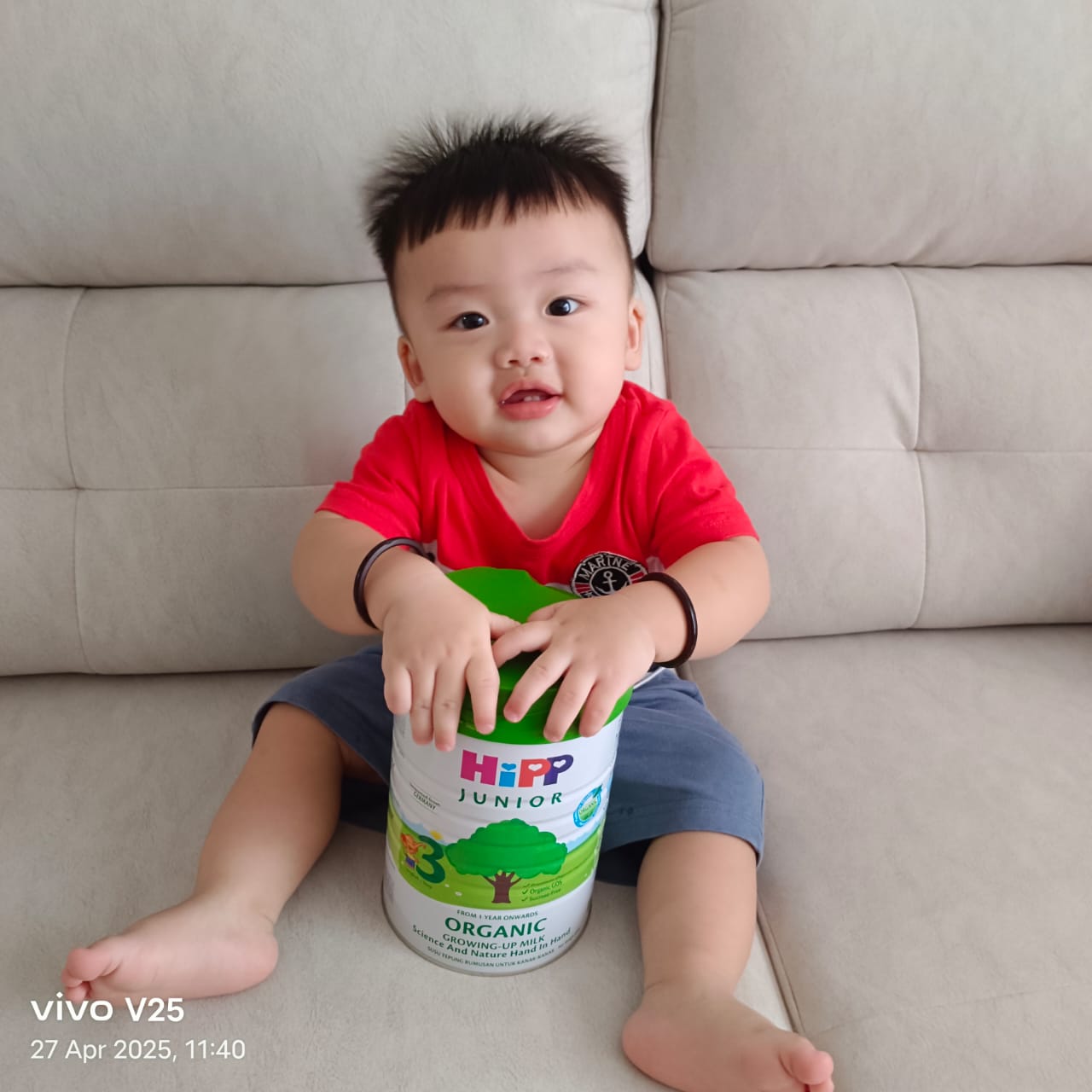 HiPP Malaysia Facebook ad