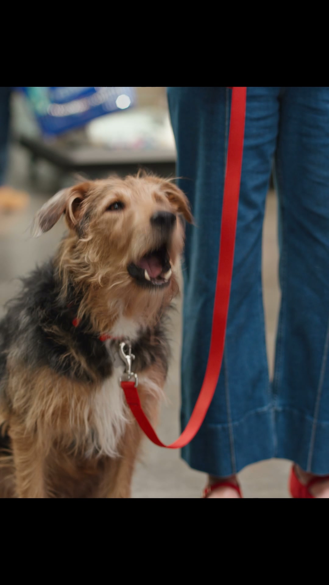 PetSmart Facebook ad: Shop Hill's Science Diet