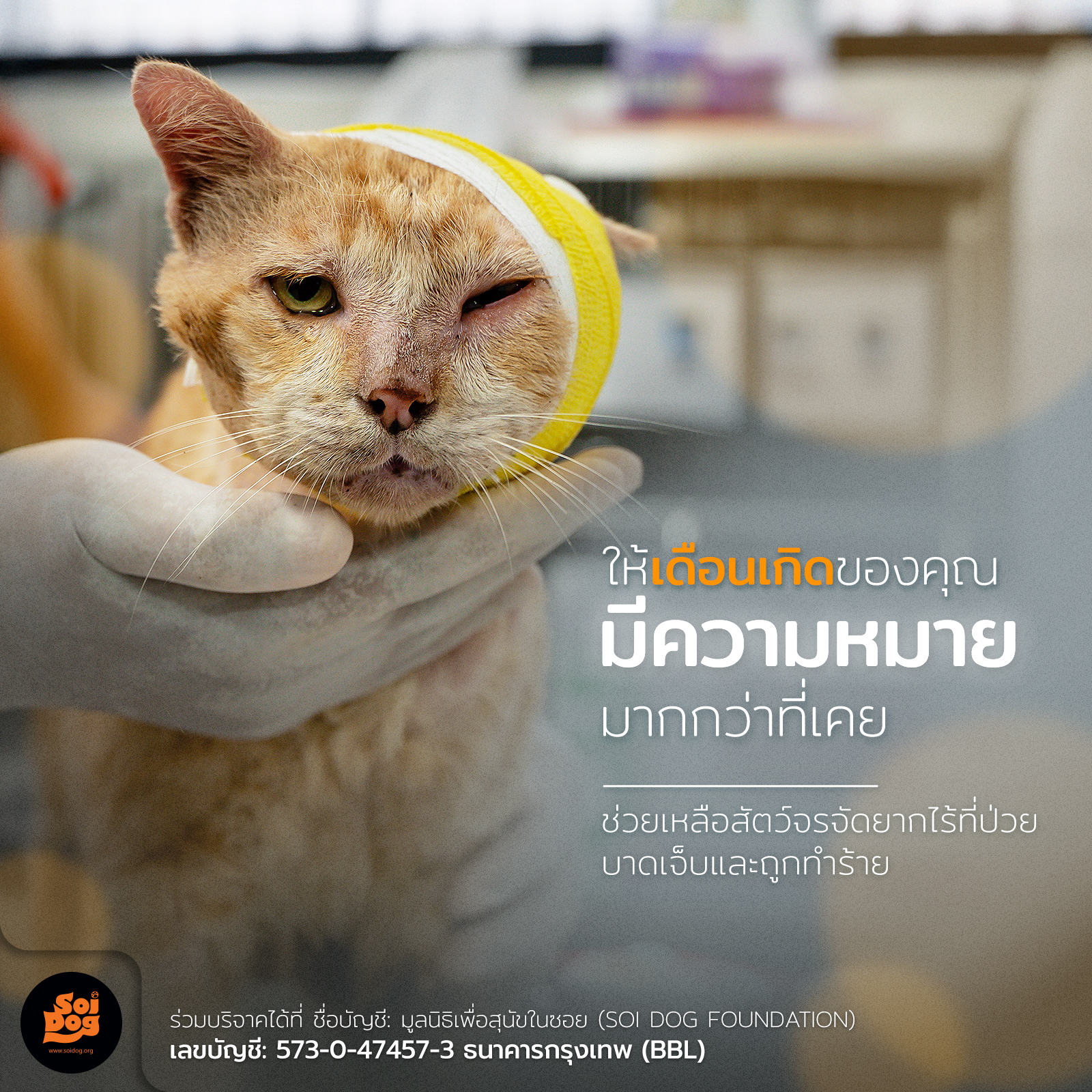 มูลนิธิเพื่อสุนัขในซอย, ประเทศไทย (Soi Dog - in Thai) Facebook ad