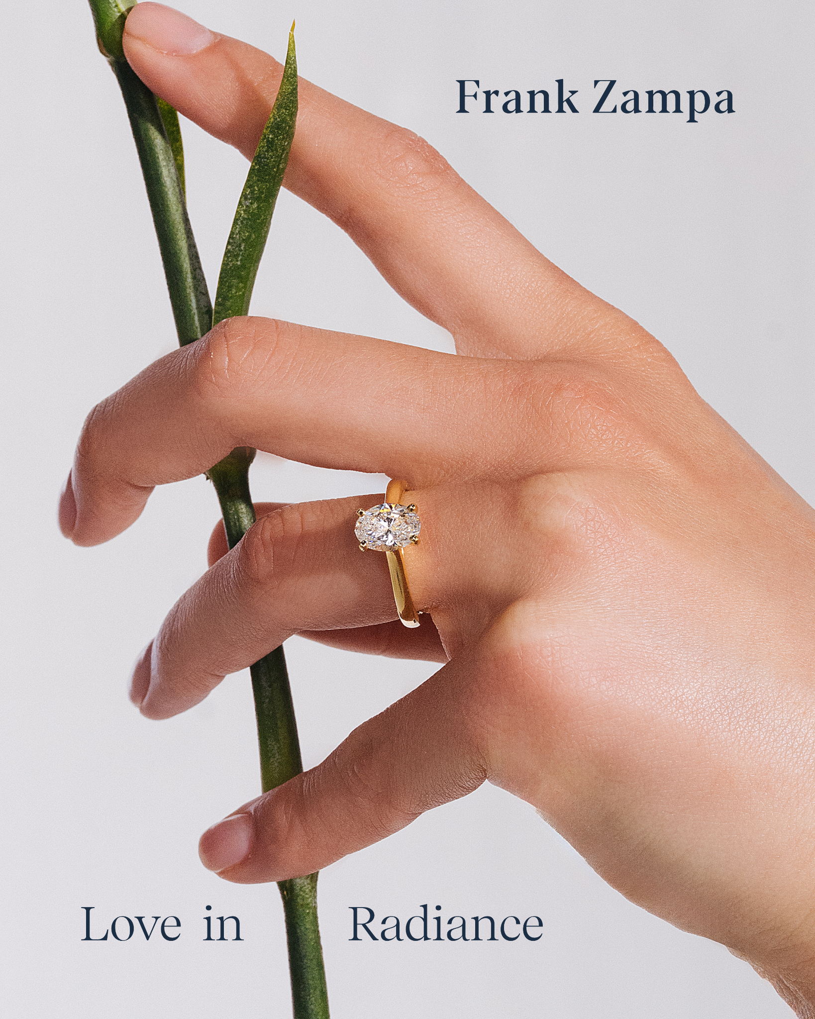 Frank Zampa Jewellery Facebook ad: Timeless Diamond Pieces