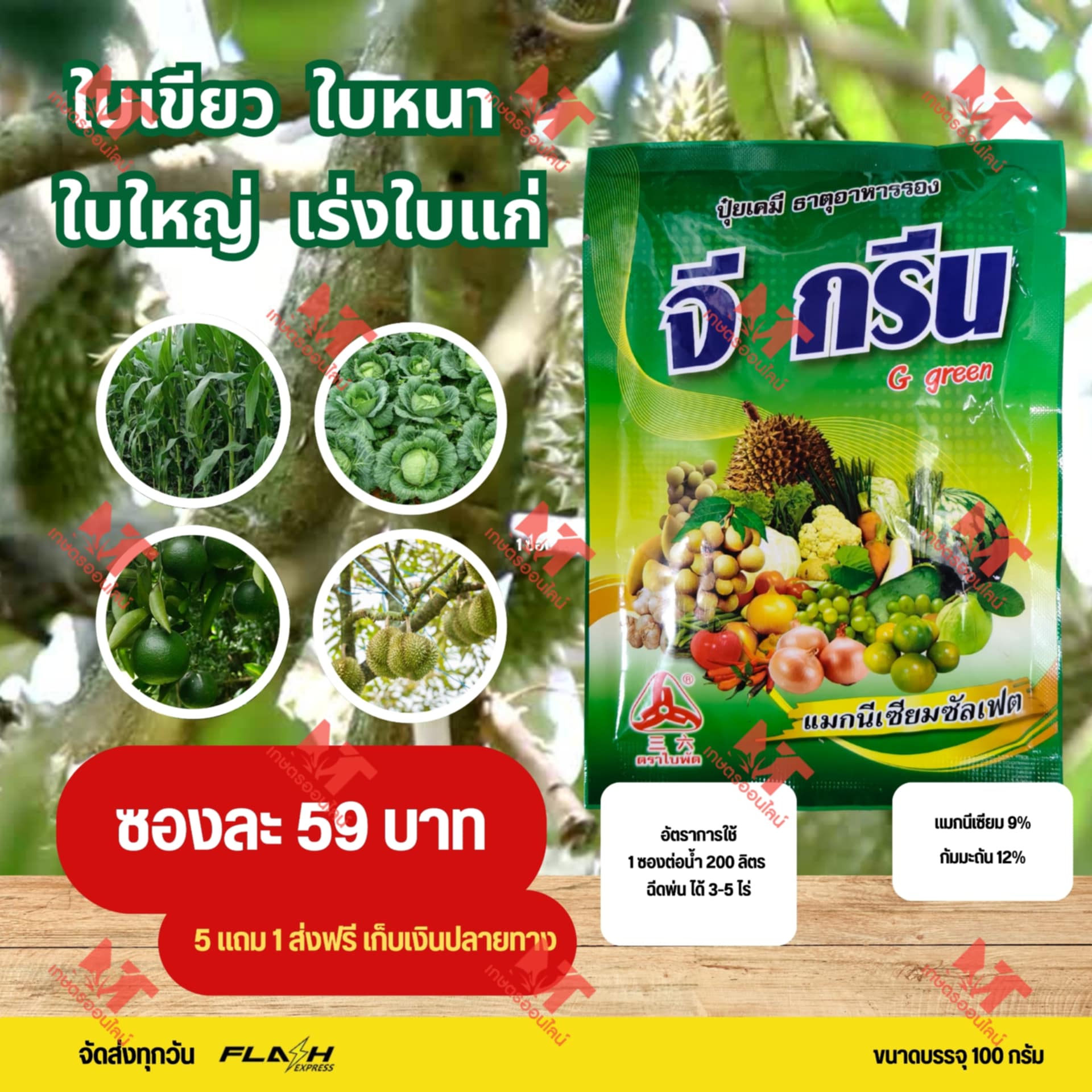 MT เกษตรออนไลน์ Facebook ad: เขียวทันใจ ใบใหญ่สะใจ ต้อง จี กรีน เท่านั้น!
