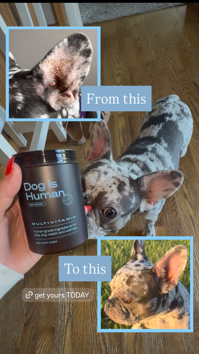 Dog is Human Facebook ad