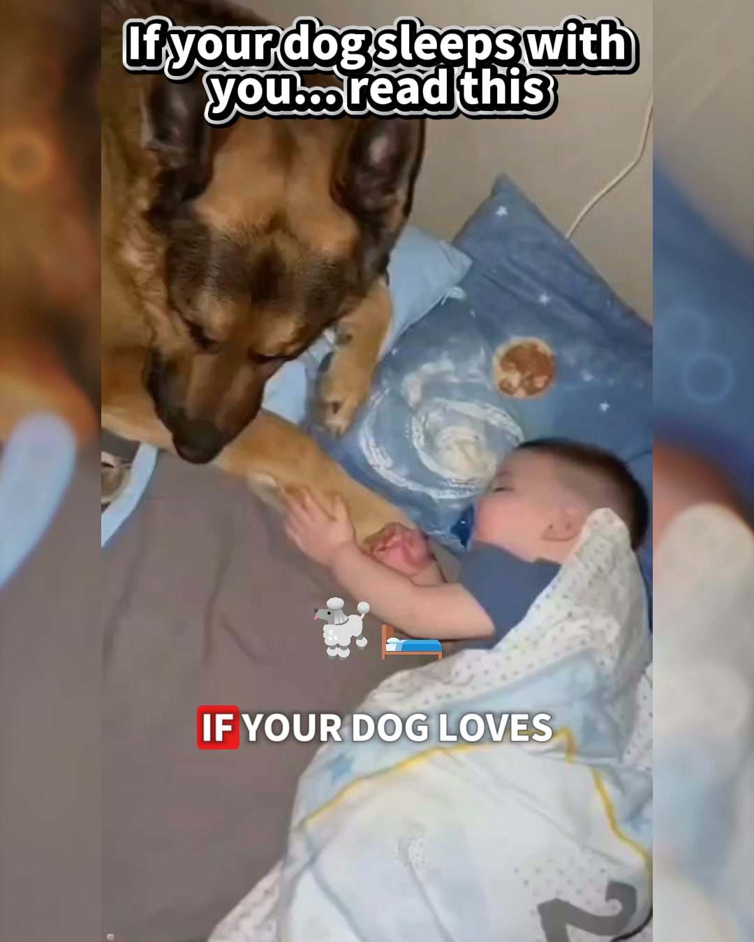 Puainta Pets Facebook ad: Simple Support for Skin Comfort