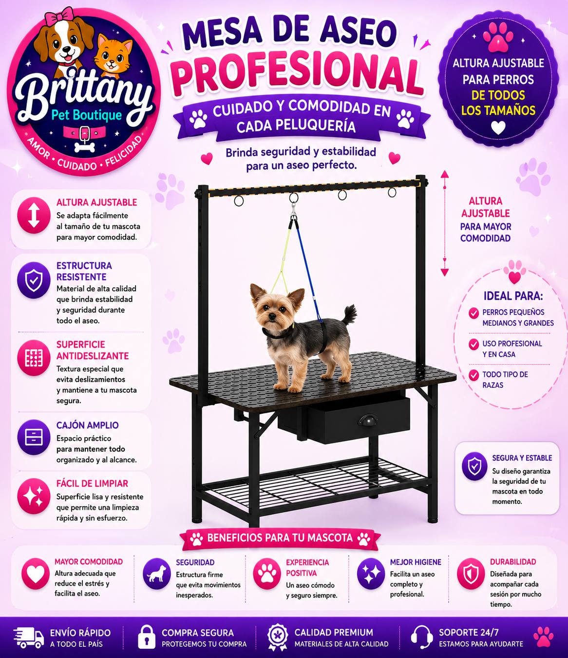 Brittany Pet Boutique Facebook ad: Lo que necesitas para tu mascota aquí lo…